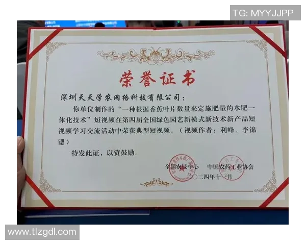 上海网球队团队协作新模式探讨与热议推动网球运动发展