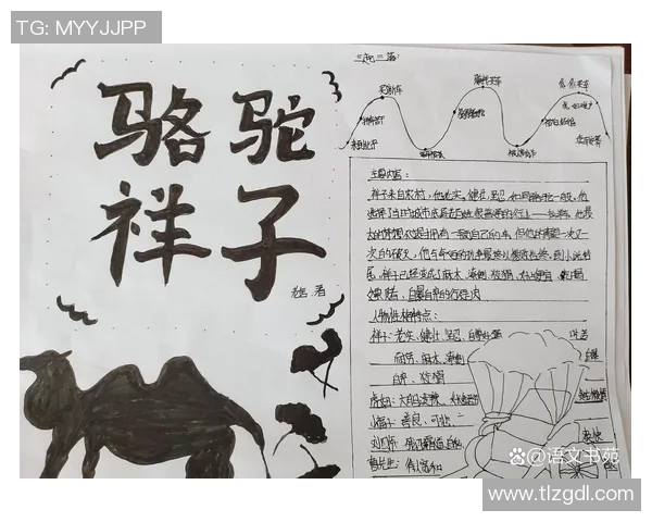 追忆绿茵传奇足球明星的小卡片情怀与故事分享