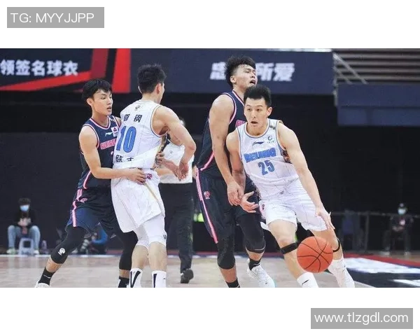 上海排球队的阵地战解析与战术探讨全面分析