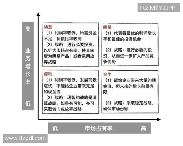 广州篮球队实力深度解析与对手力量全面对比分析 广州篮球队实力深度解析与对手力量全面对比分析