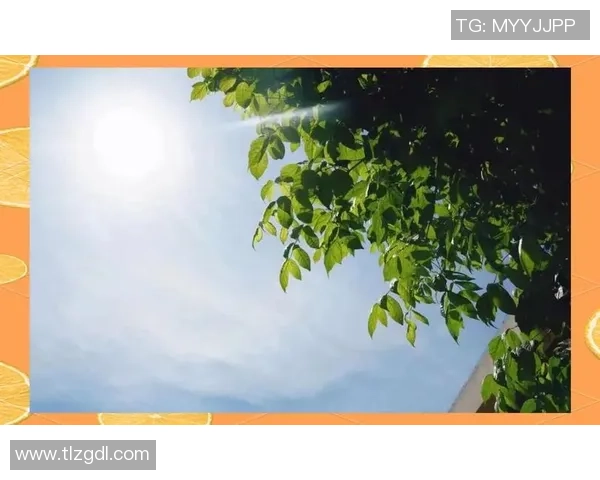 张丽独家分享网球心得与技巧助你提升球技的全面指南